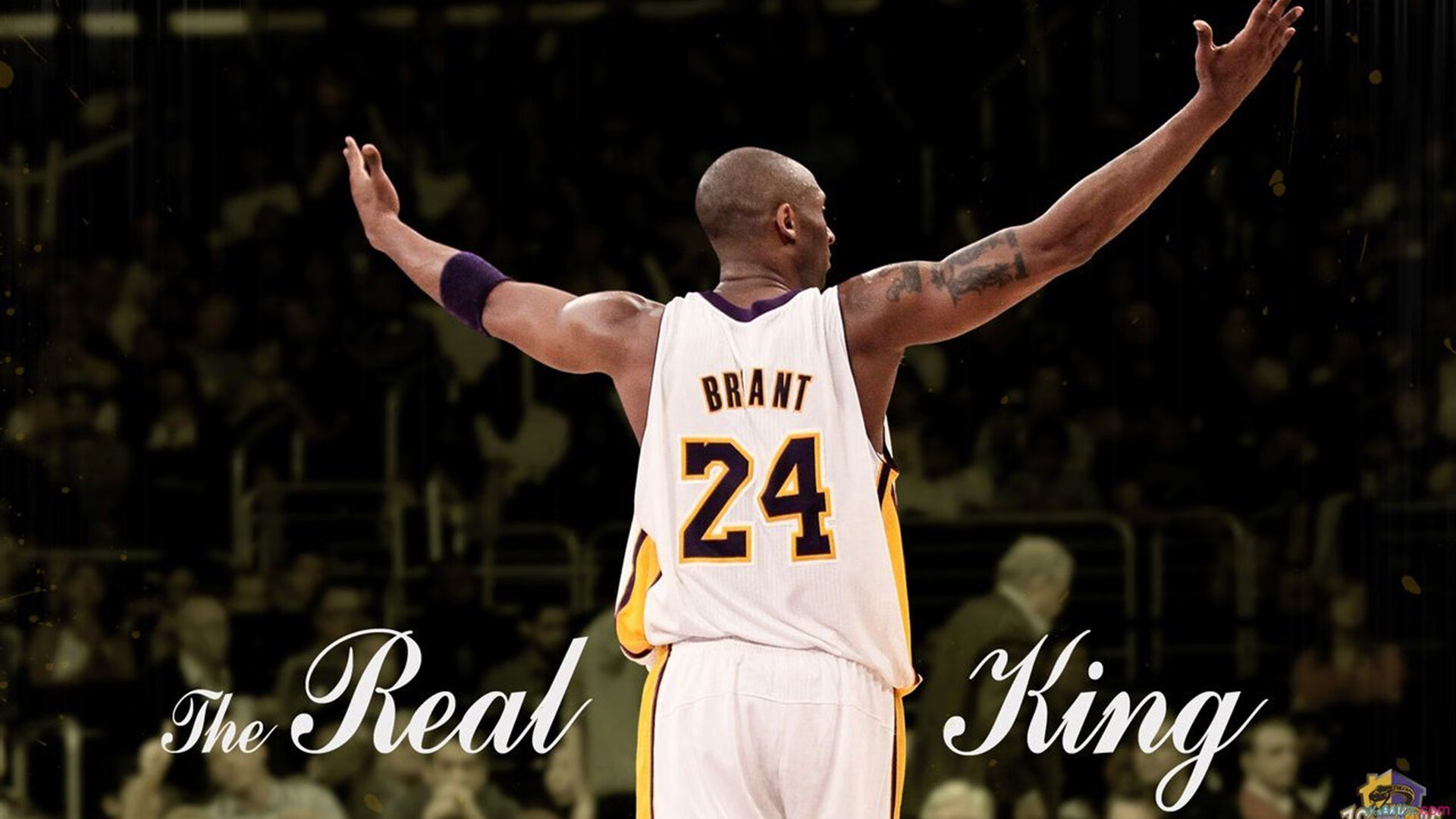 葡萄牙打穿委内瑞拉，当阿拉巴的节奏成为全队的脉搏