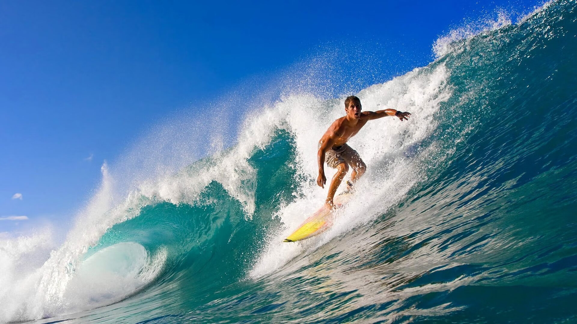 富安健洋，金字塔阴影下的关键先生